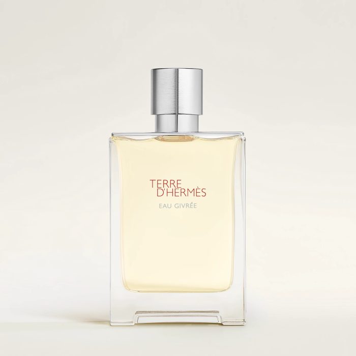 袋箱HERMES TERRE D'HERMÈS Eau Givrée 100ml Terre D'Hermes Eau Givree – Niche Perfumery